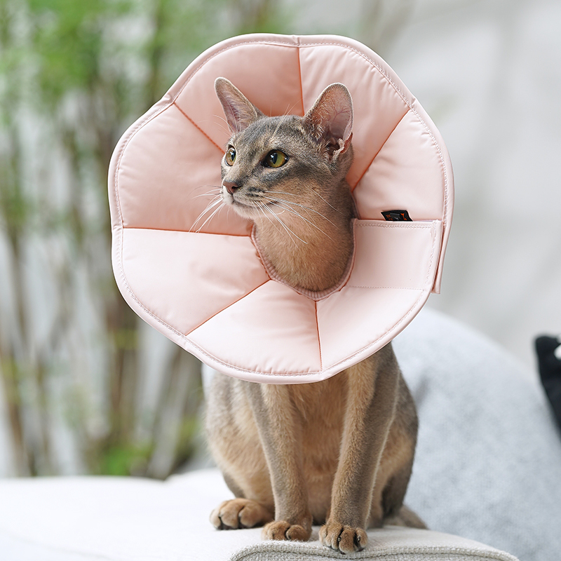 Zooland Elizabethan Collar Pink  (XS/S/M/L/XL/2XL)