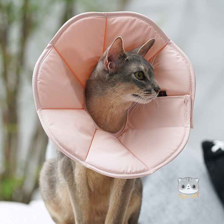 Zooland Elizabethan Collar Pink  (XS/S/M/L/XL/2XL)