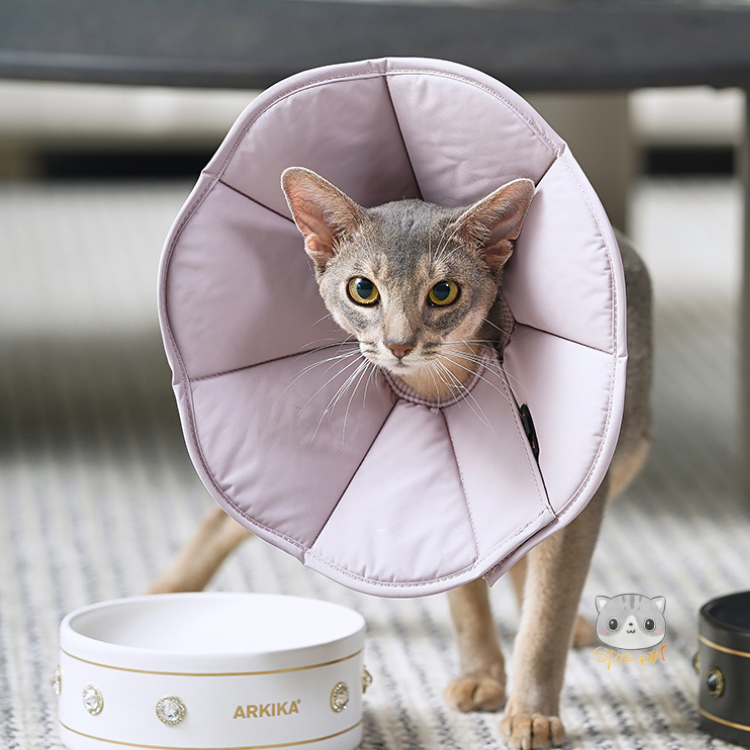 Zooland Elizabethan Collar Light Purple  (XS/S/M/L/XL/2XL)