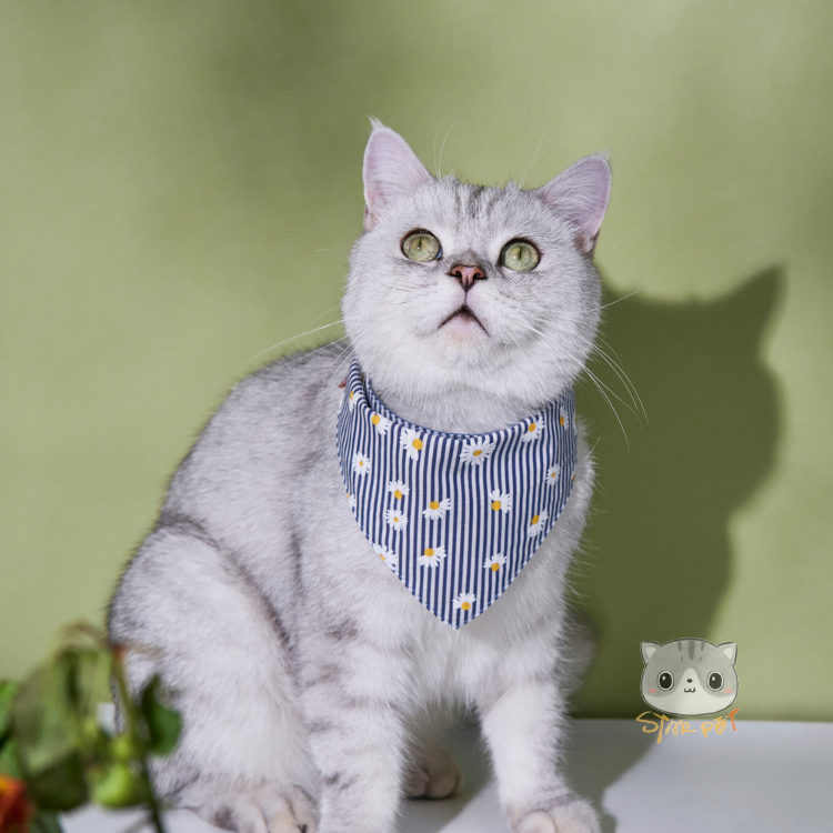 PO-A-MUA - Bandanas - Chrysanthemum