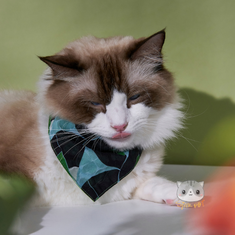 PO-A-MUA - Bandanas - Lucky Clover