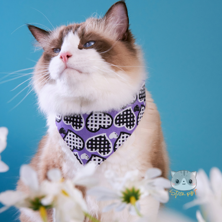 PO-A-MUA - Bandanas - Heart