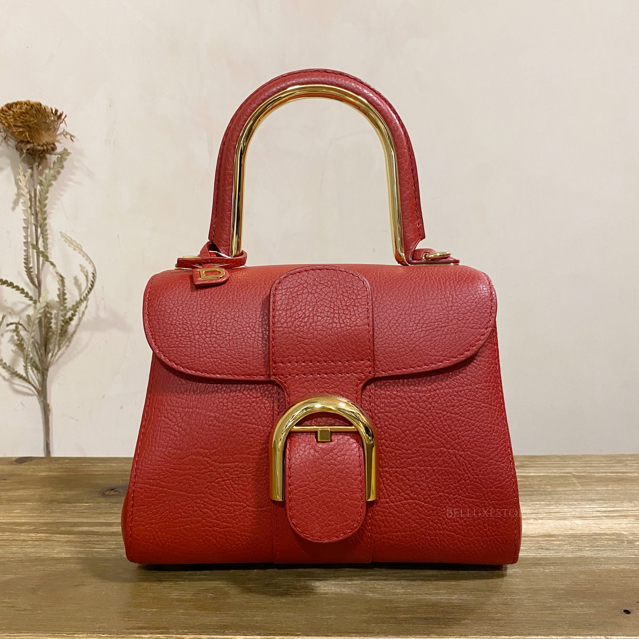 Pre-owned]Delvaux brillant mini red - Main Image