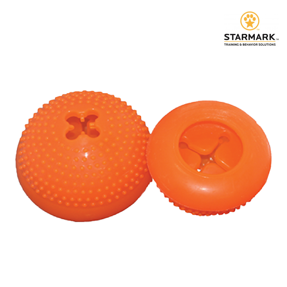 StarMark 星記｜半球玩具