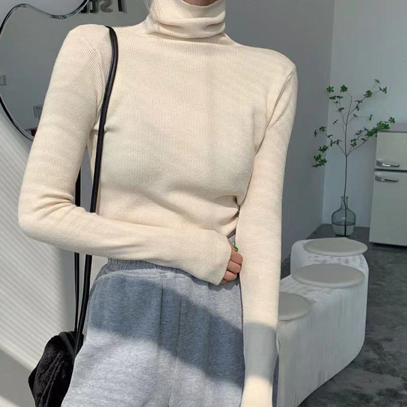 ᴋᴏʀᴇᴀ🇰🇷 美少女純色百搭高領上衣