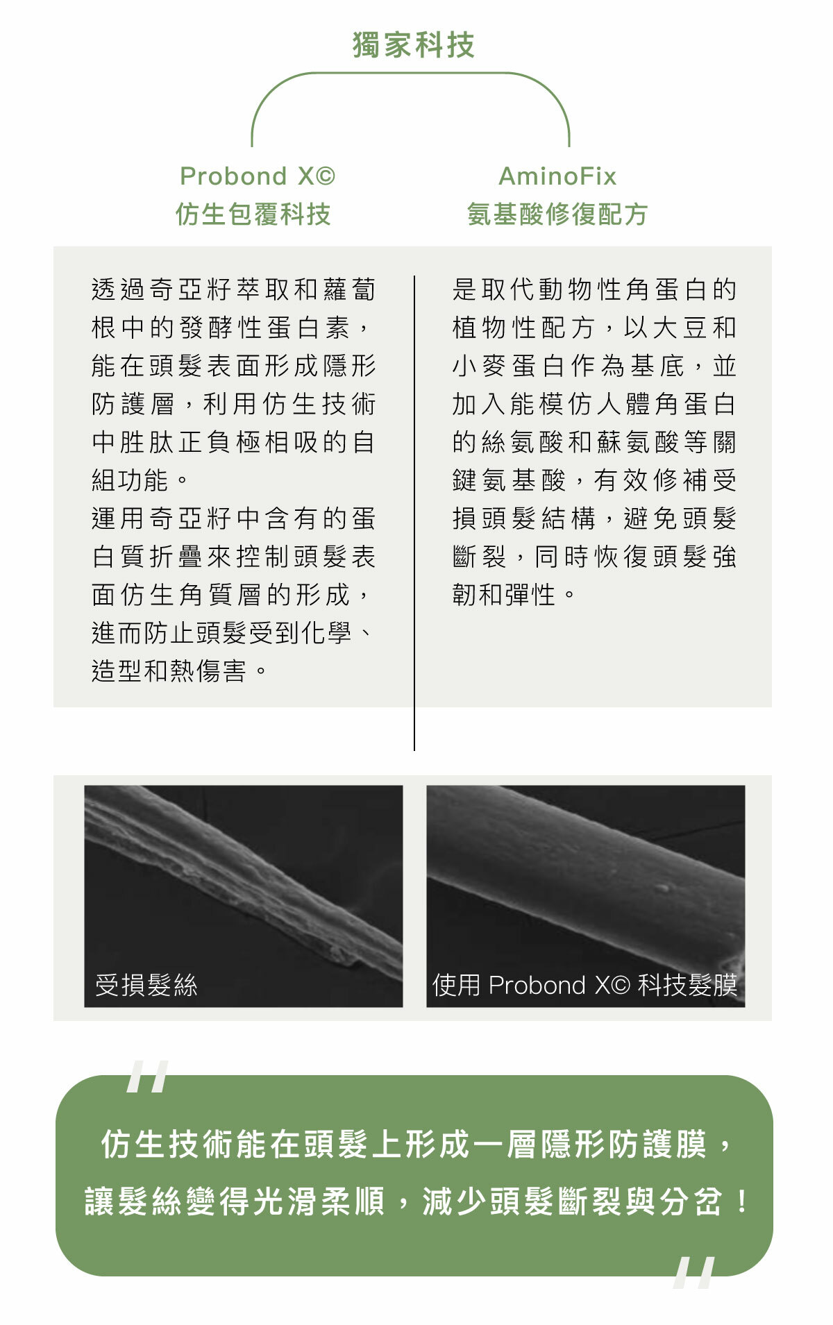 rica,髮品,洗髮精,護髮,頭皮養護,洗髮精推薦,純素產品,天然有機,沙龍,火山水,梨果仙人掌,護色科技,植萃,髮膜,保濕,自然捲,粗硬髮,科技髮膜,專業髮品,專業護髮