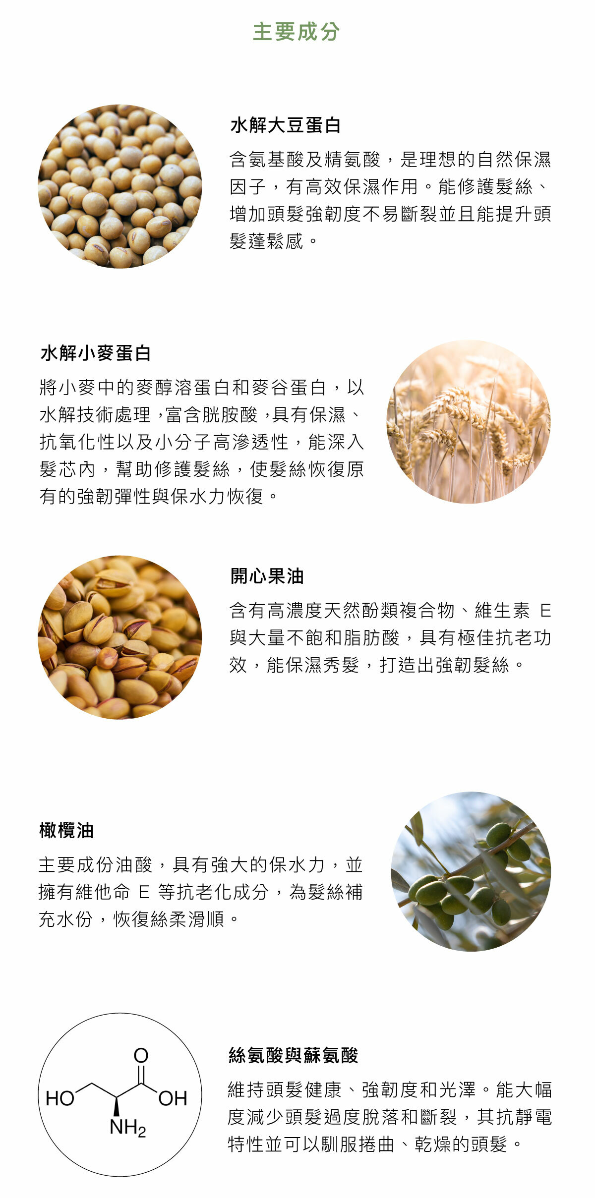 rica,髮品,洗髮精,護髮,頭皮養護,洗髮精推薦,純素產品,天然有機,沙龍,火山水,梨果仙人掌,護色科技,植萃,髮膜,保濕,自然捲,粗硬髮,科技髮膜,專業髮品,專業護髮