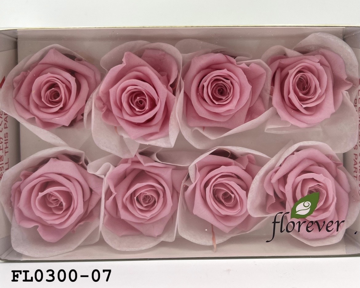 日本不凋中輪玫瑰花 (8朵)FL0300-07