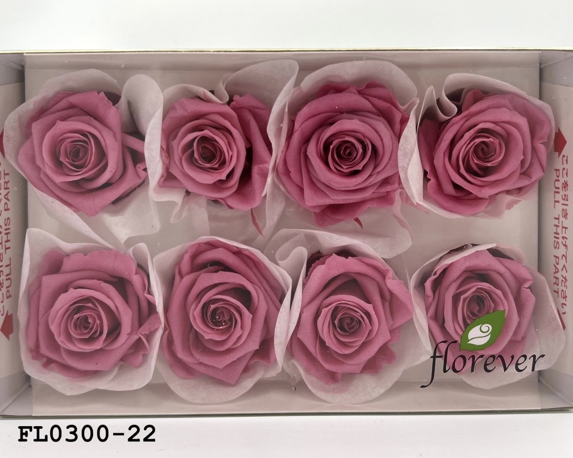 日本不凋中輪玫瑰花 (8朵)FL0300-22