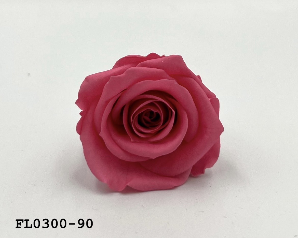 日本不凋中輪玫瑰花 (8朵)FL0300-90