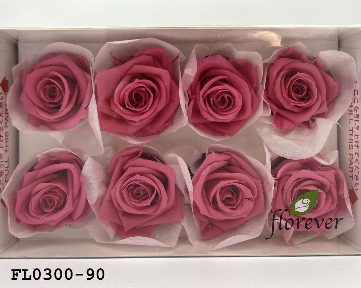 日本不凋中輪玫瑰花 (8朵)FL0300-90