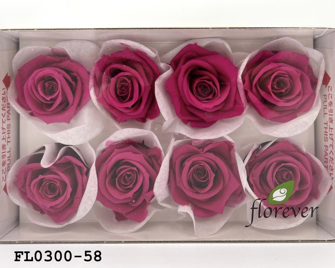 日本不凋中輪玫瑰花 (8朵)FL0300-58