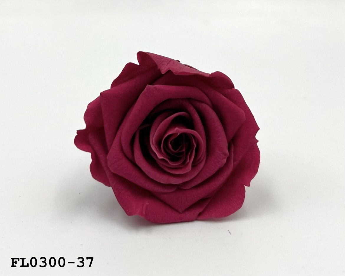 日本不凋中輪玫瑰花 (8朵)FL0300-37