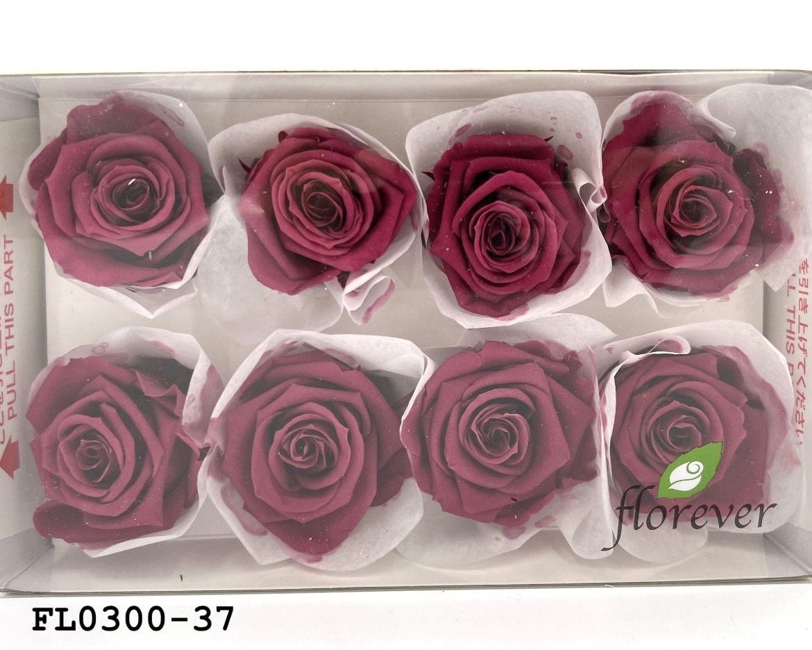 日本不凋中輪玫瑰花 (8朵)FL0300-37