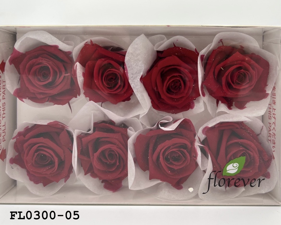 日本不凋中輪玫瑰花 (8朵)FL0300-05