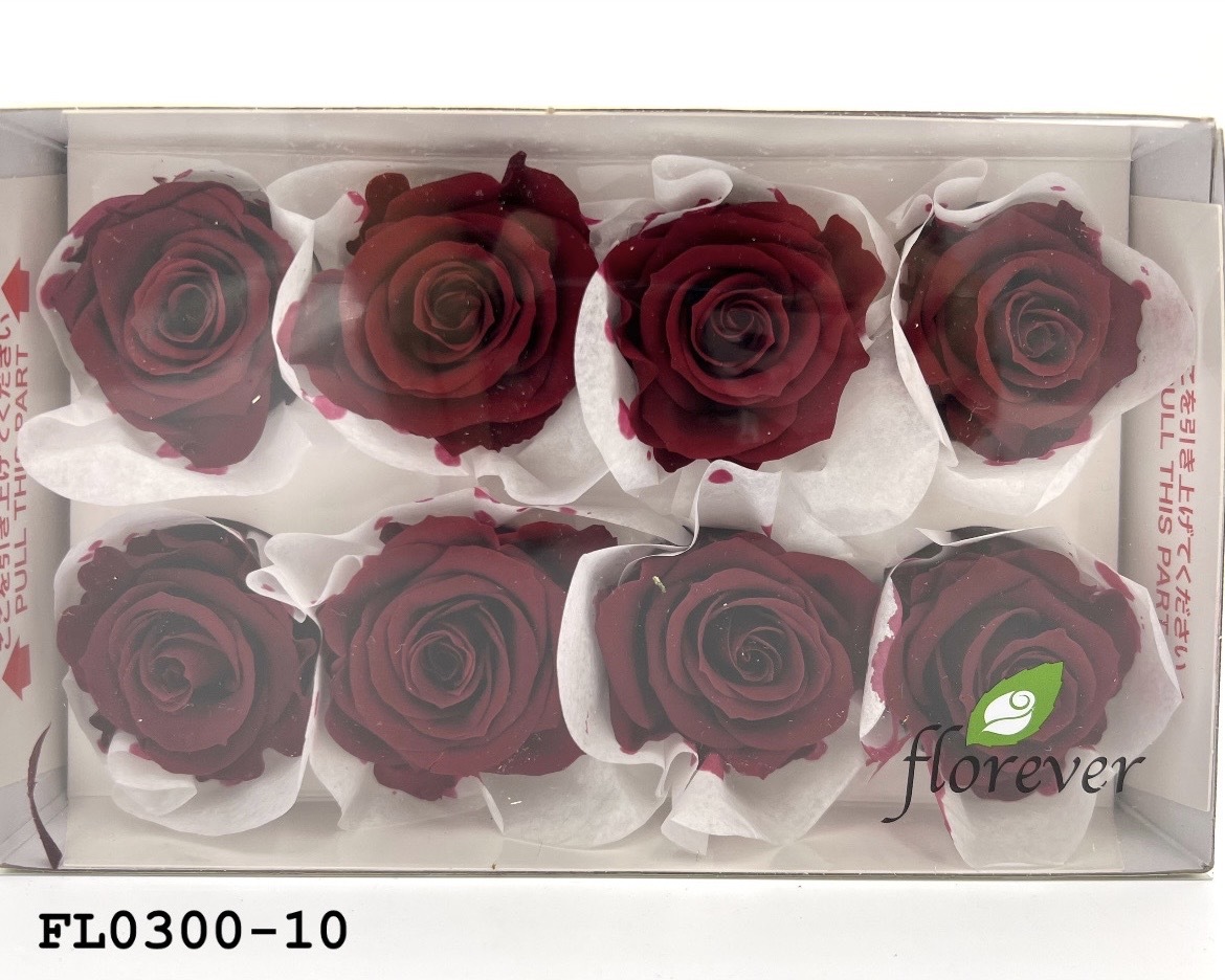 日本不凋中輪玫瑰花 (8朵)FL0300-10