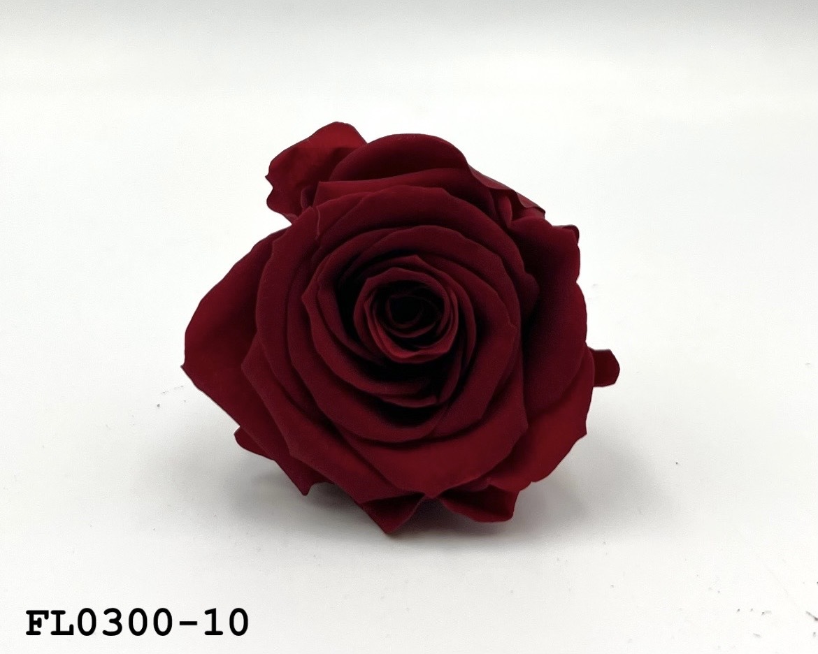 日本不凋中輪玫瑰花 (8朵)FL0300-10