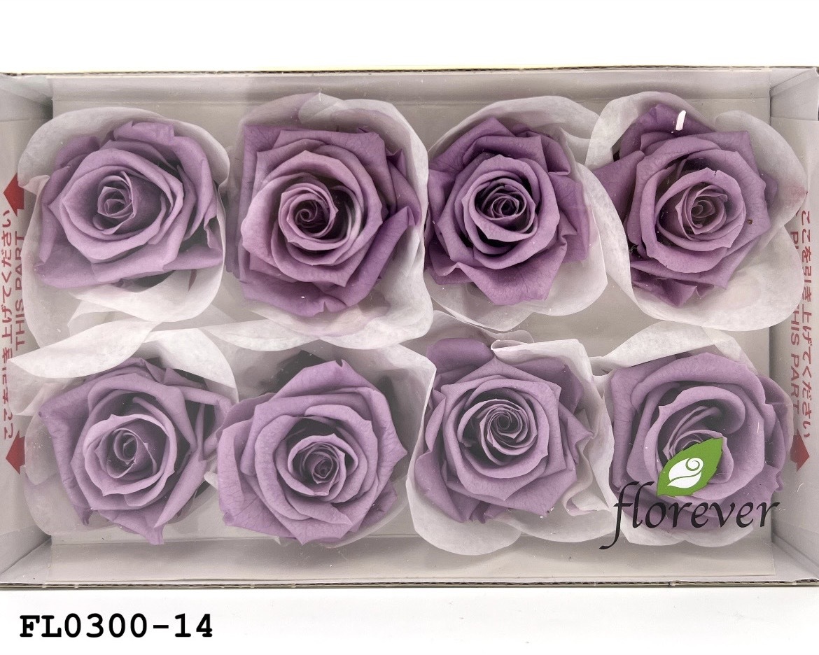 日本不凋中輪玫瑰花 (8朵)FL0300-14