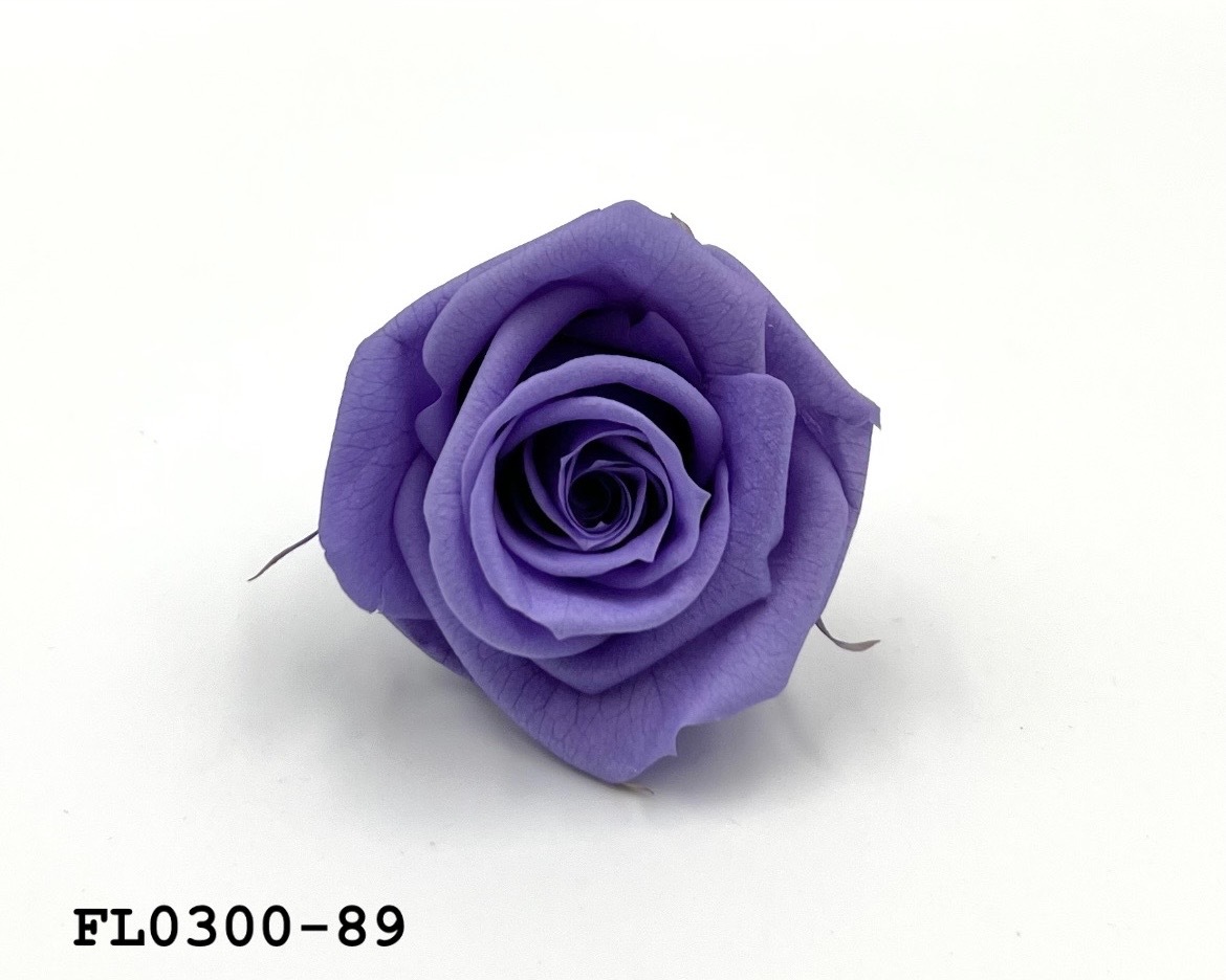 日本不凋中輪玫瑰花 (8朵)FL0300-89