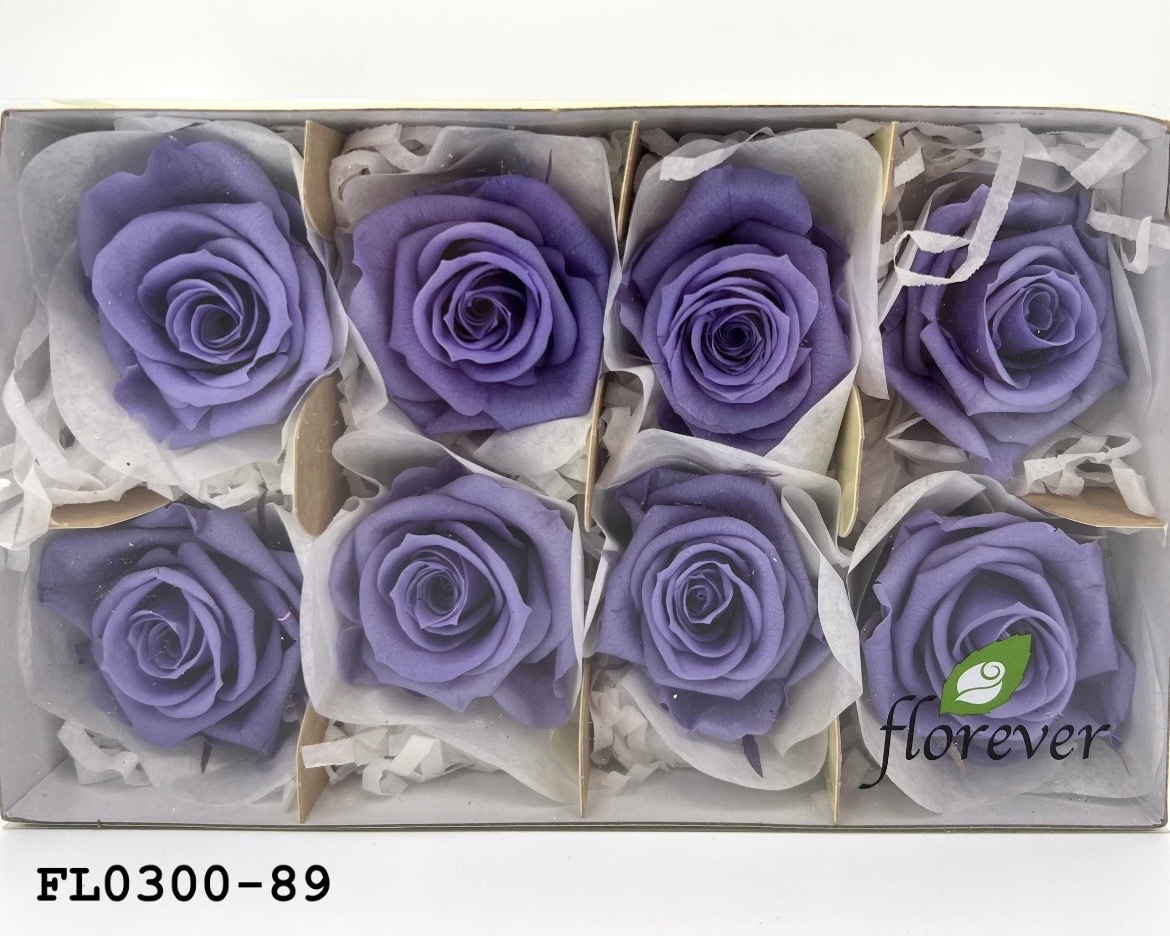 日本不凋中輪玫瑰花 (8朵)FL0300-89