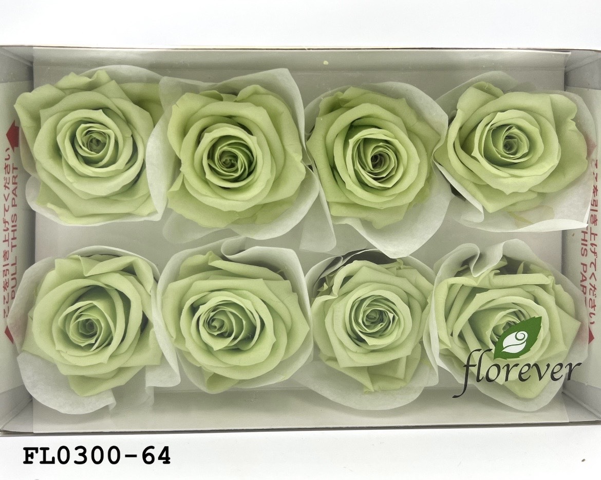日本不凋中輪玫瑰花 (8朵)FL0300-64