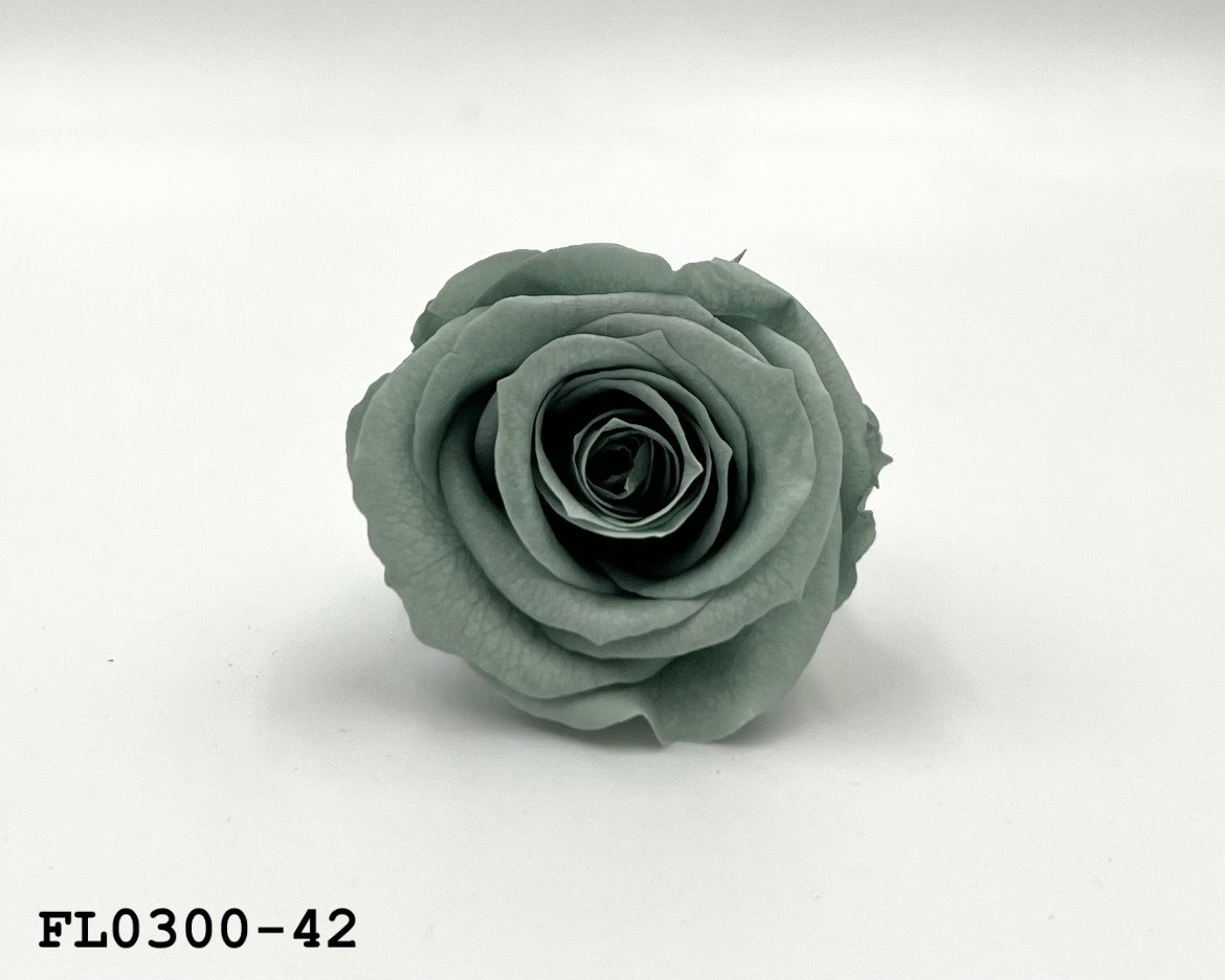 日本不凋中輪玫瑰花 (8朵)FL0300-42