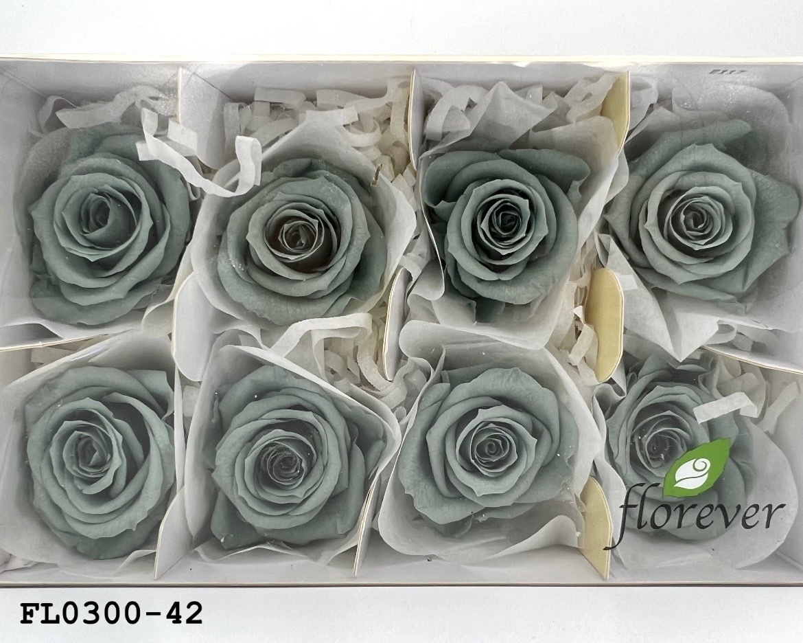 日本不凋中輪玫瑰花 (8朵)FL0300-42
