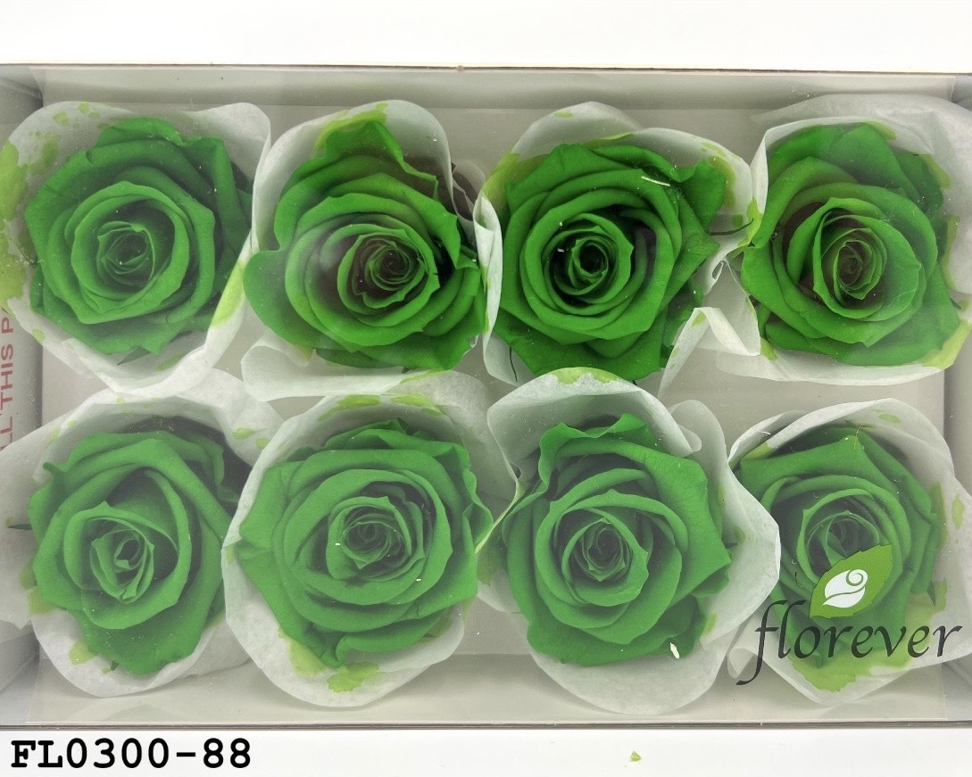 日本不凋中輪玫瑰花 (8朵)FL0300-88