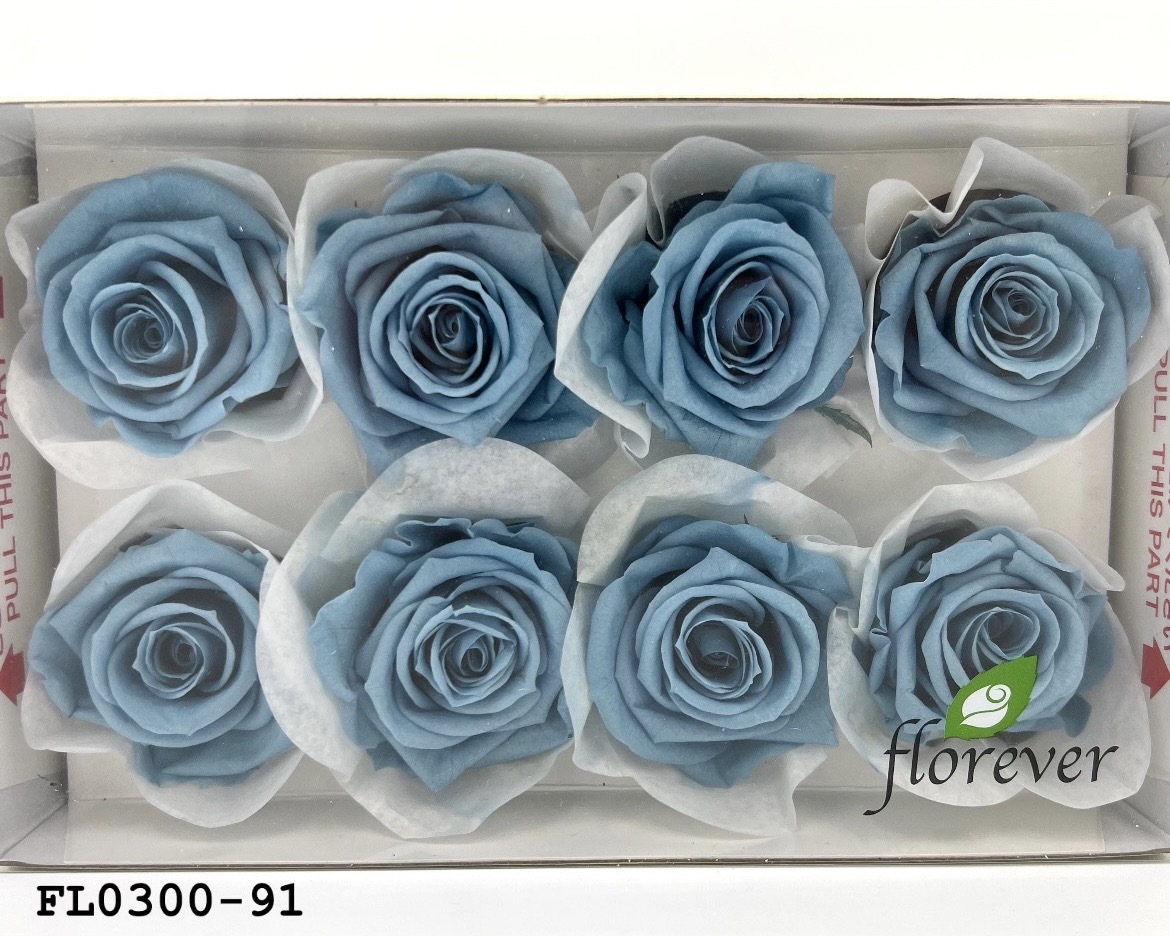 日本不凋中輪玫瑰花 (8朵)FL0300-91