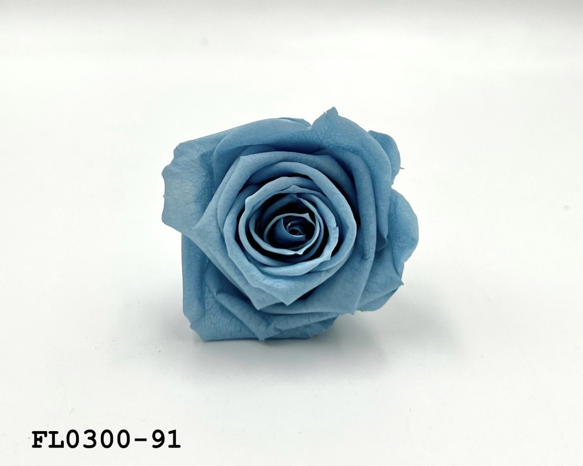 日本不凋中輪玫瑰花 (8朵)FL0300-91