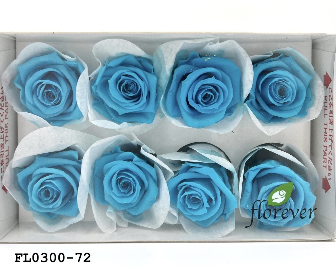 日本不凋中輪玫瑰花 (8朵)FL0300-72