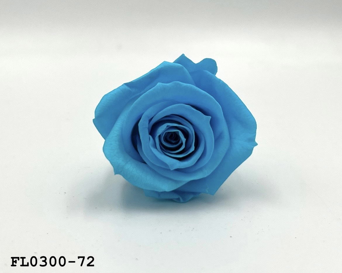 日本不凋中輪玫瑰花 (8朵)FL0300-72