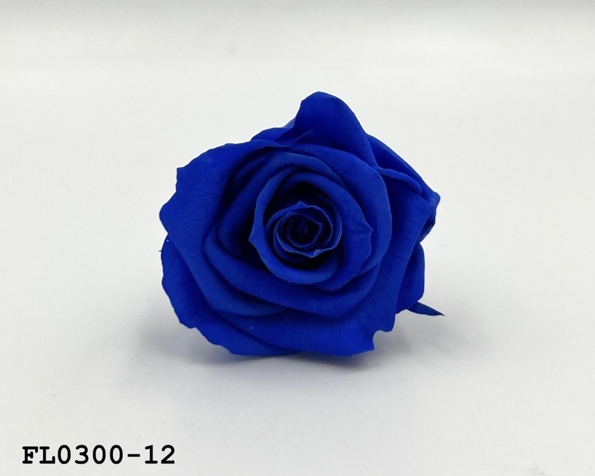 日本不凋中輪玫瑰花 (8朵)FL0300-12