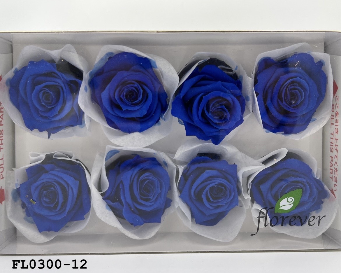 日本不凋中輪玫瑰花 (8朵)FL0300-12