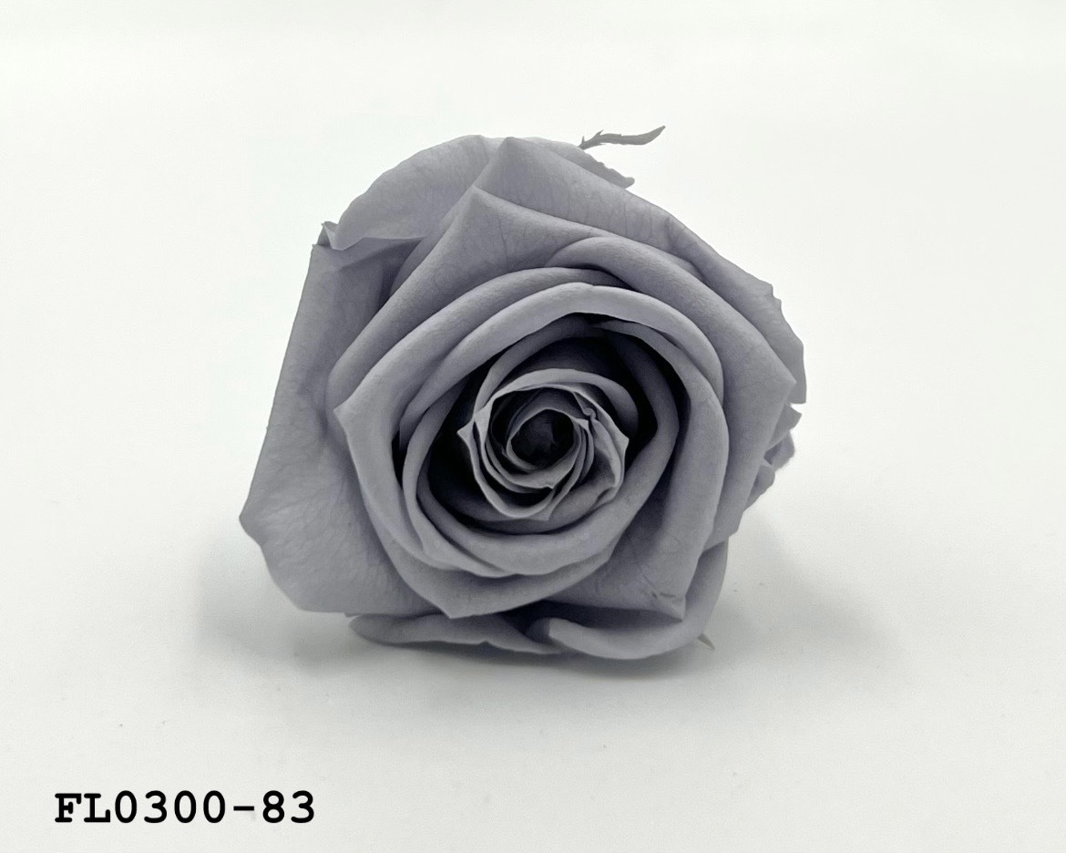 日本不凋中輪玫瑰花 (8朵)FL0300-83