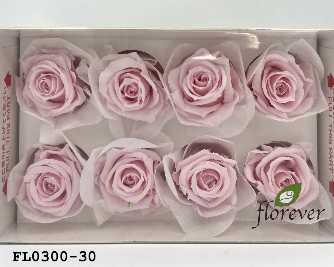 日本不凋中輪玫瑰花 (8朵)FL0300-30