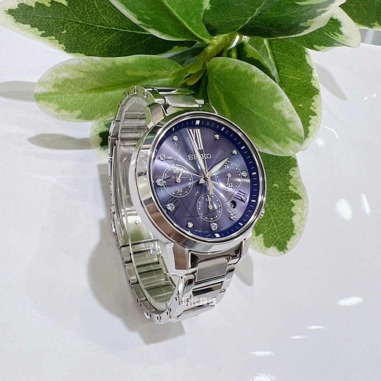 【SEIKO 精工】太陽能計時腕錶 V175-0FC0B 36mm 現代鐘錶