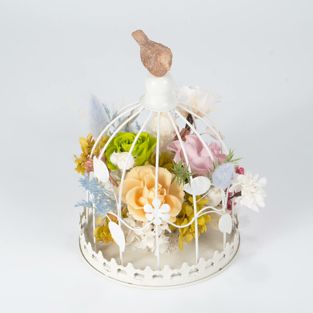 【心之所嚮】永生乾燥盆花