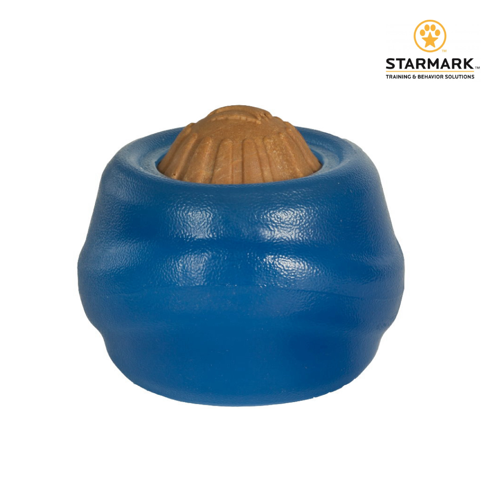 StarMark 星記｜磨牙球