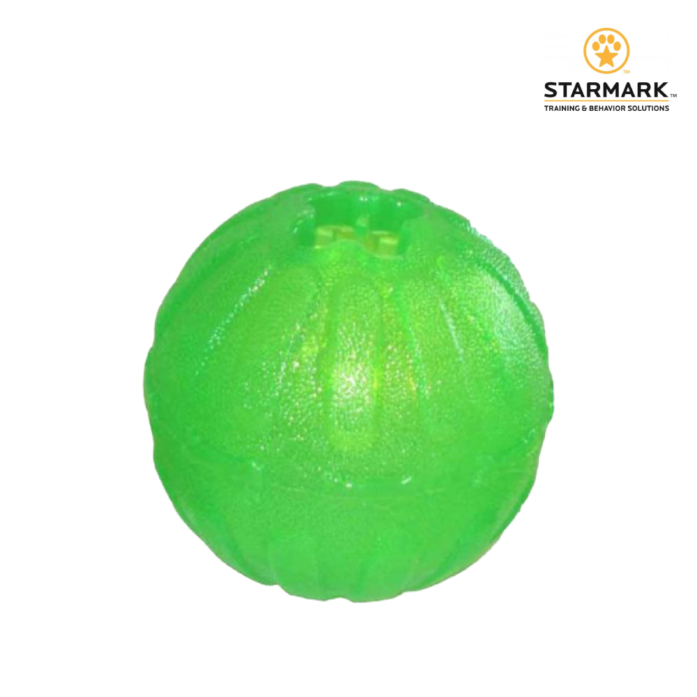 StarMark 星記｜歡樂球造型玩具