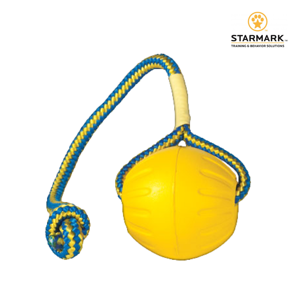 StarMark 星記｜互動式浮水妙想球