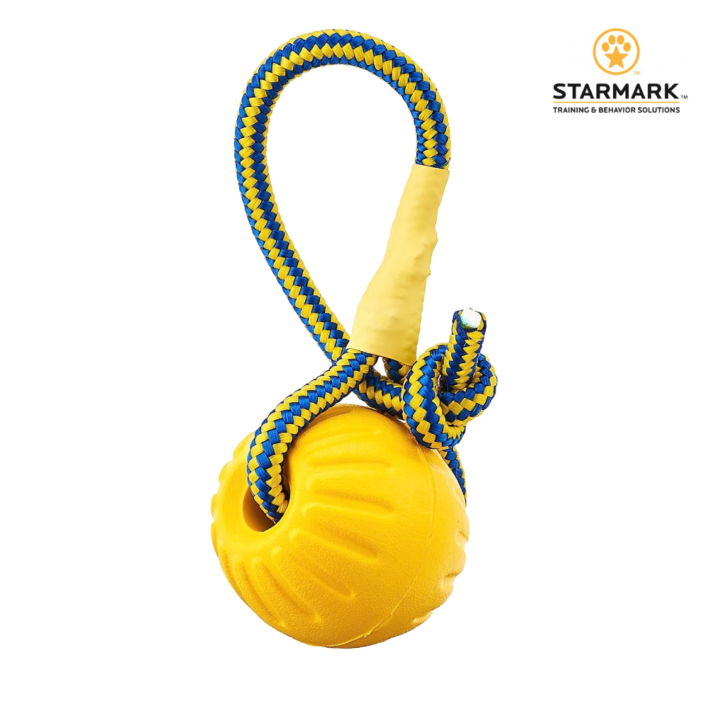 StarMark 星記｜互動式浮水妙想球