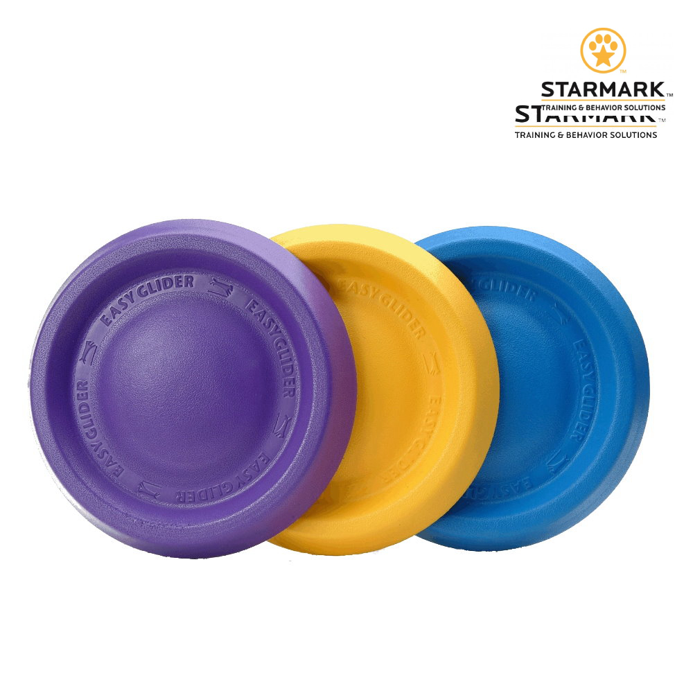 StarMark 星記｜互動式浮水飛盤