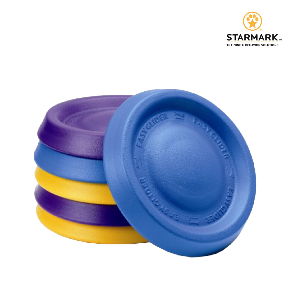 StarMark 星記｜互動式浮水飛盤