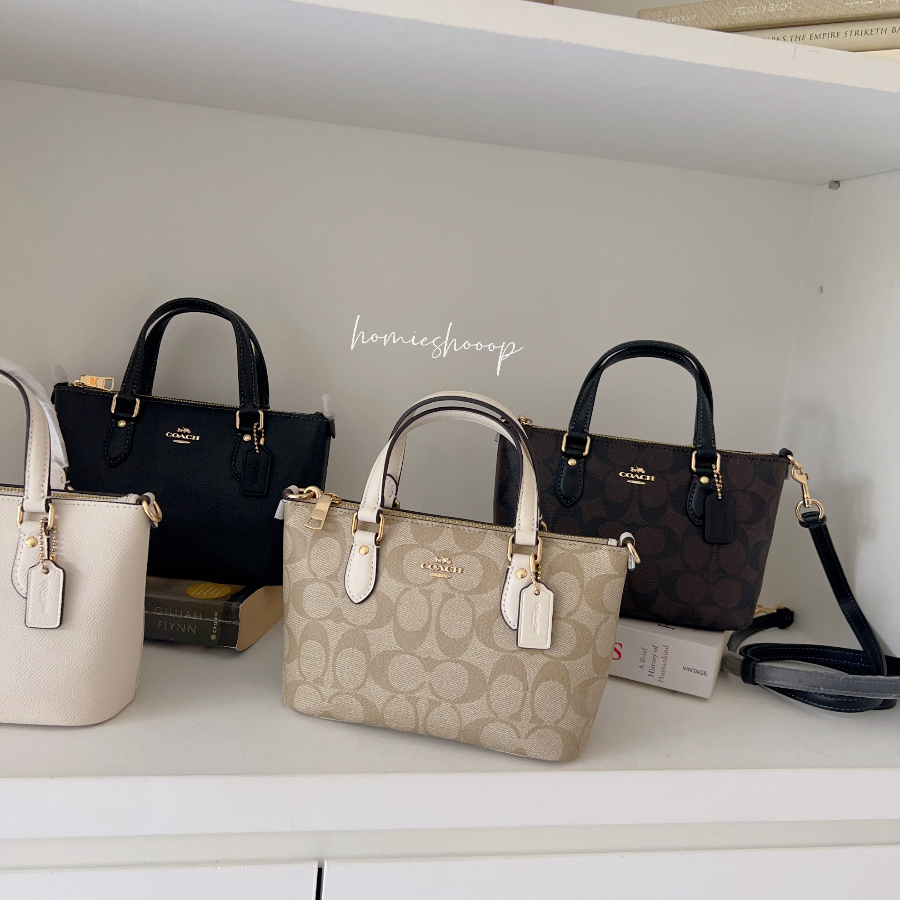 Coach Mini Gallery 小托特包