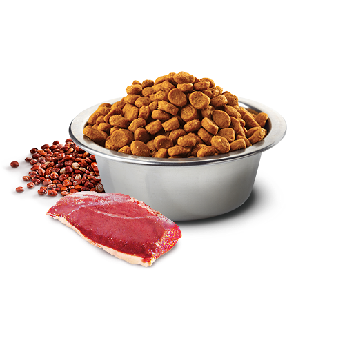 [對抗劈價大毒瘤限時優惠] N&D – 天然藜麥無穀機能系列 泌尿紓壓保健-鴨肉蔓越莓 Quinoa Urinary with Duck 1.5kg