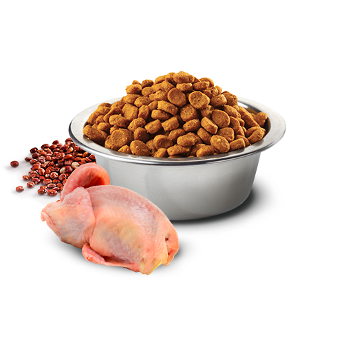 [對抗劈價大毒瘤限時優惠] N&D – 天然藜麥無穀機能系列 皮毛保健-鵪鶉椰子 Quinoa Skin & Coat with Quail 1.5kg