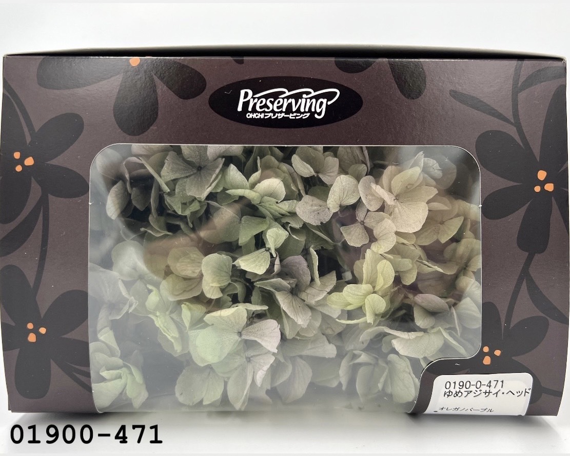 日本不凋大葉繡球01900-471