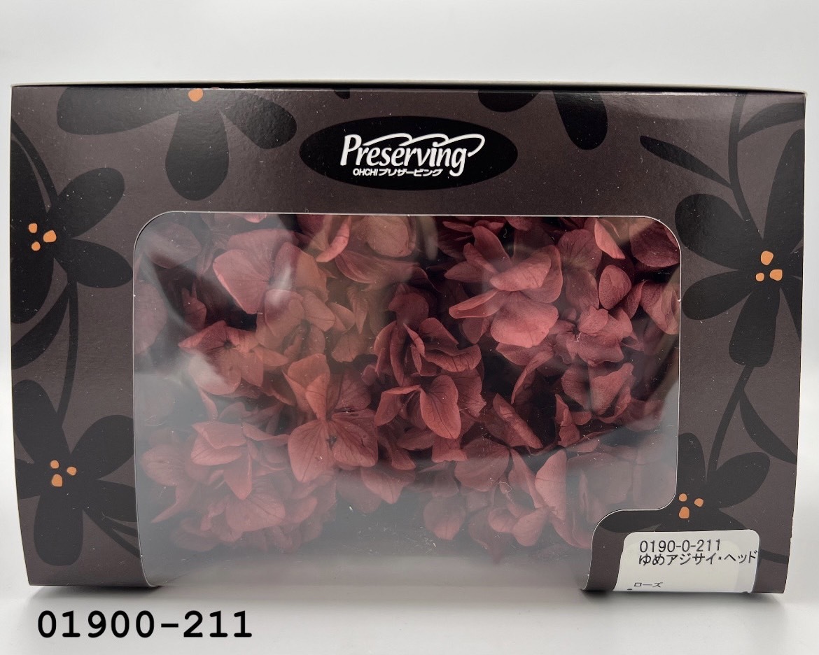 日本不凋大葉繡球01900-211