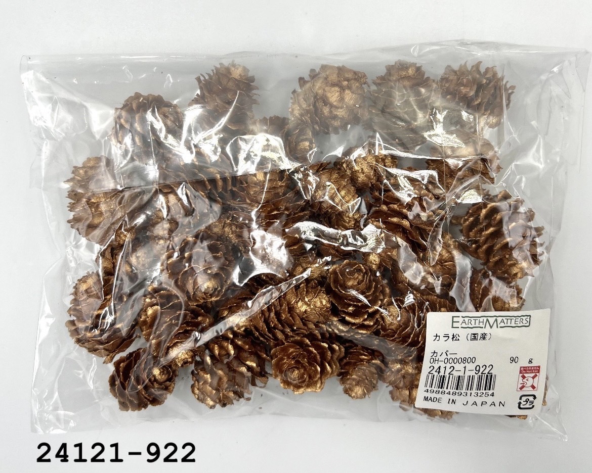 日本乾燥落羽松松果 24121-922